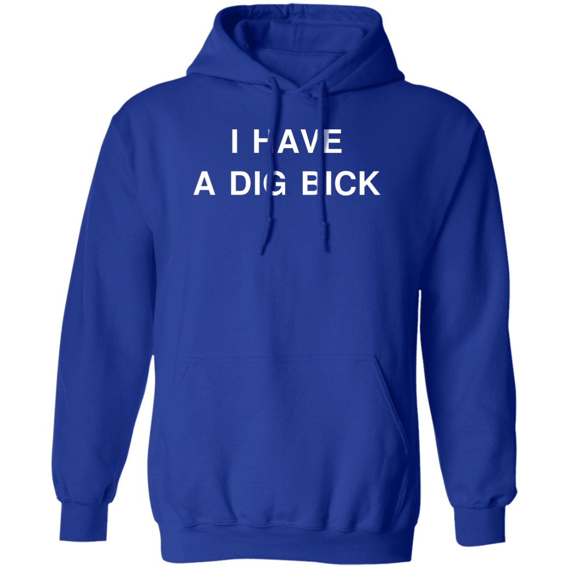 "DIG BICK" Hoodie