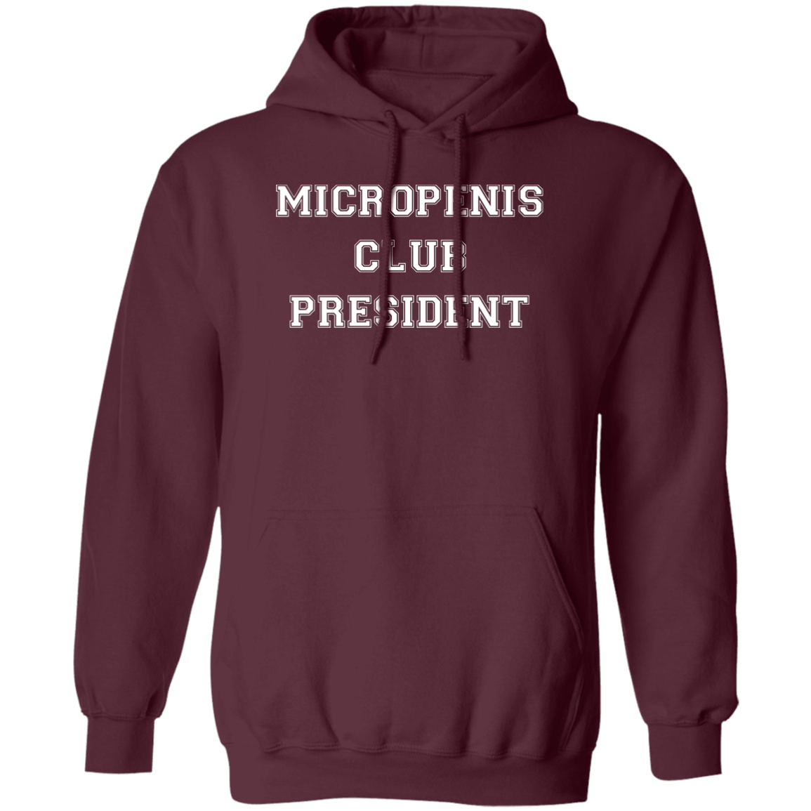 "Micropenis" Hoodie