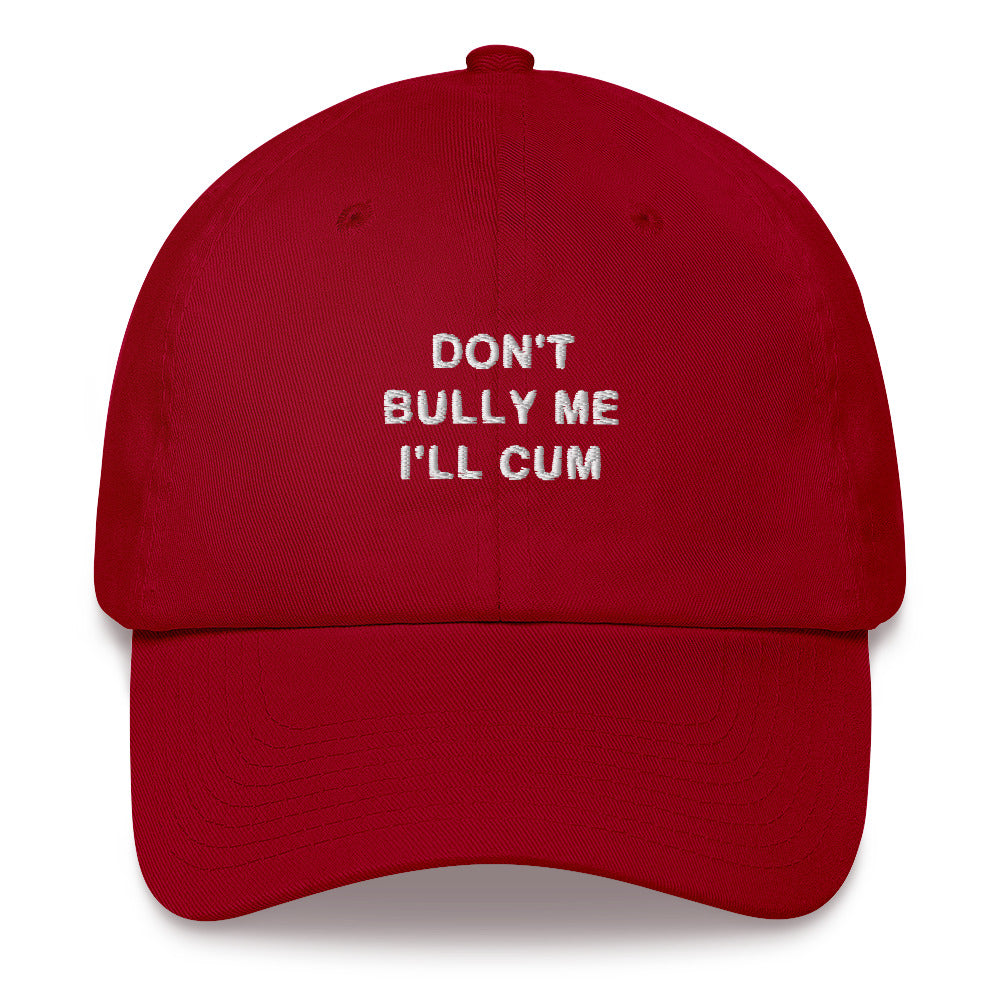 "Don't Bully Me" Dad Hat